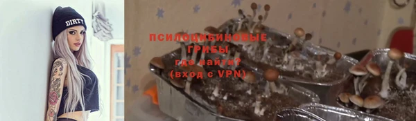 ALPHA PVP Тайга