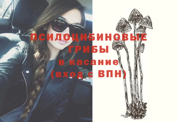 a pvp Тавда