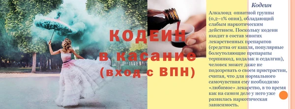 бошки Сясьстрой